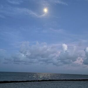 Meet your Posher, Francesca.